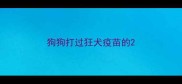 狗狗打过狂犬疫苗的