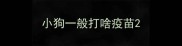 小狗一般打啥疫苗
