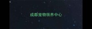 成都宠物领养中心