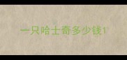 一只哈士奇多少钱