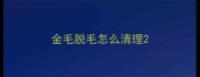 金毛脱毛怎么清理