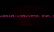 宠物家长常常困惑于小狗掉毛的五大原因及应对方法季节性换毛期健康隐患全