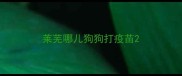 莱芜哪儿狗狗打疫苗