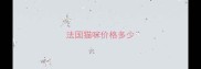 法国猫咪价格多少