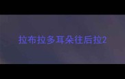 拉布拉多耳朵往后拉