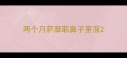 两个月萨摩耶鼻子里面