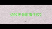 边牧老是盯着手咬