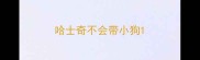 哈士奇不会带小狗