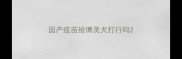 国产疫苗给博美犬打行吗