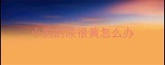 小狗的尿很黄怎么办