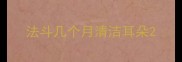 法斗几个月清洁耳朵