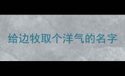 给边牧取个洋气的名字