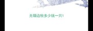 无锡边牧多少钱一只