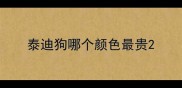 泰迪狗哪个颜色最贵
