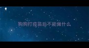 狗狗打疫苗后不能做什么