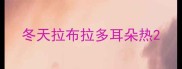 冬天拉布拉多耳朵热