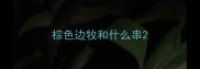 棕色边牧和什么串