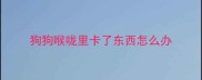 狗狗喉咙里卡了东西怎么办