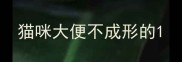 猫咪大便不成形的