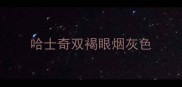 哈士奇双褐眼烟灰色