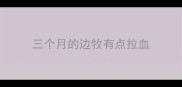 三个月的边牧有点拉血