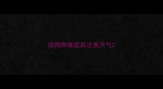 给狗狗做疫苗注意天气