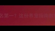 白色拉布拉多智商排名第一这份养宠指南教你如何激发它的潜力