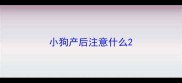 小狗产后注意什么