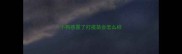 小狗感冒了打疫苗会怎么样