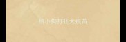给小狗打狂犬疫苗