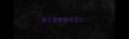 金毛夏季掉毛多久