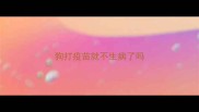 狗打疫苗就不生病了吗