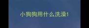 小狗狗用什么洗澡