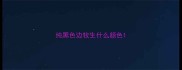 纯黑色边牧生什么颜色