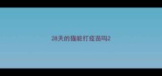 28天的猫能打疫苗吗