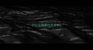 白云区猫要打疫苗针