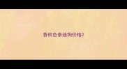 香槟色泰迪狗价格