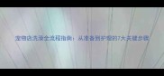 宠物店洗澡全流程指南从准备到护理的7大关键步骤