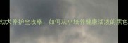 拉布拉多幼犬养护全攻略如何从小培养健康活泼的黑色拉布拉多