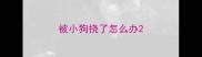 被小狗挠了怎么办