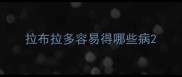 拉布拉多容易得哪些病