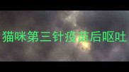猫咪第三针疫苗后呕吐