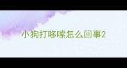 小狗打哆嗦怎么回事