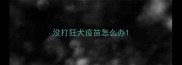 没打狂犬疫苗怎么办