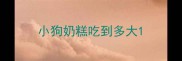 小狗奶糕吃到多大