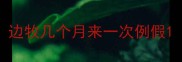 边牧几个月来一次例假