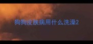 狗狗皮肤病用什么洗澡