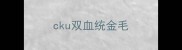cku双血统金毛