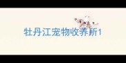 牡丹江宠物收养所