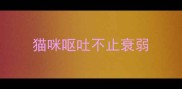 猫咪呕吐不止衰弱